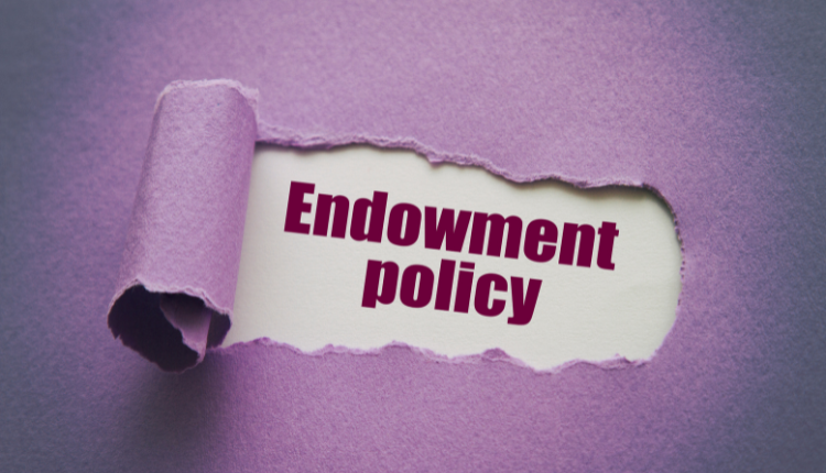 What is meant by endowment policy?